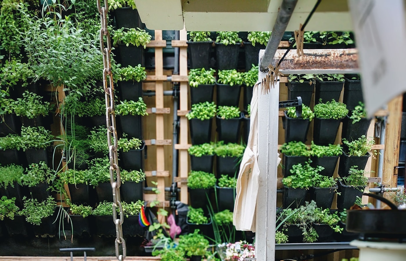 Pasta & Karta – restaurace, kuchyně a stolování, fotografie 4